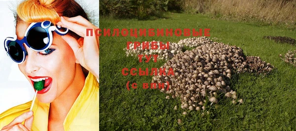 не бодяженный Нефтегорск