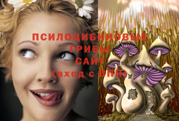 амфетамин Новокубанск